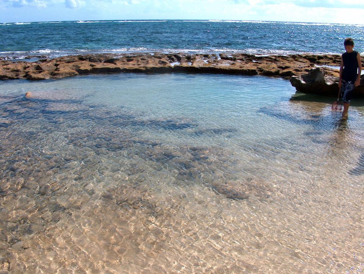 Hau'ulaItʻs All About The Beach别墅 外观 照片